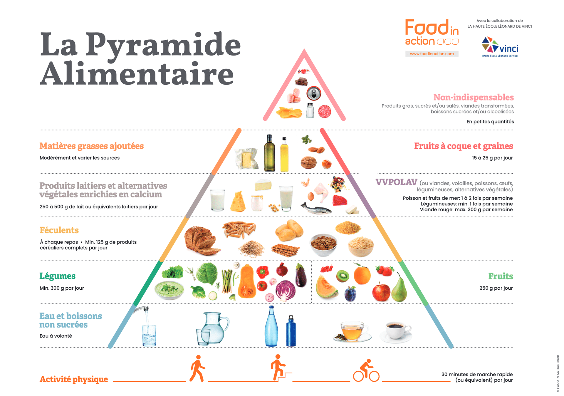 Diet helps prevent and treat type 2 diabetes Pep2Dia®