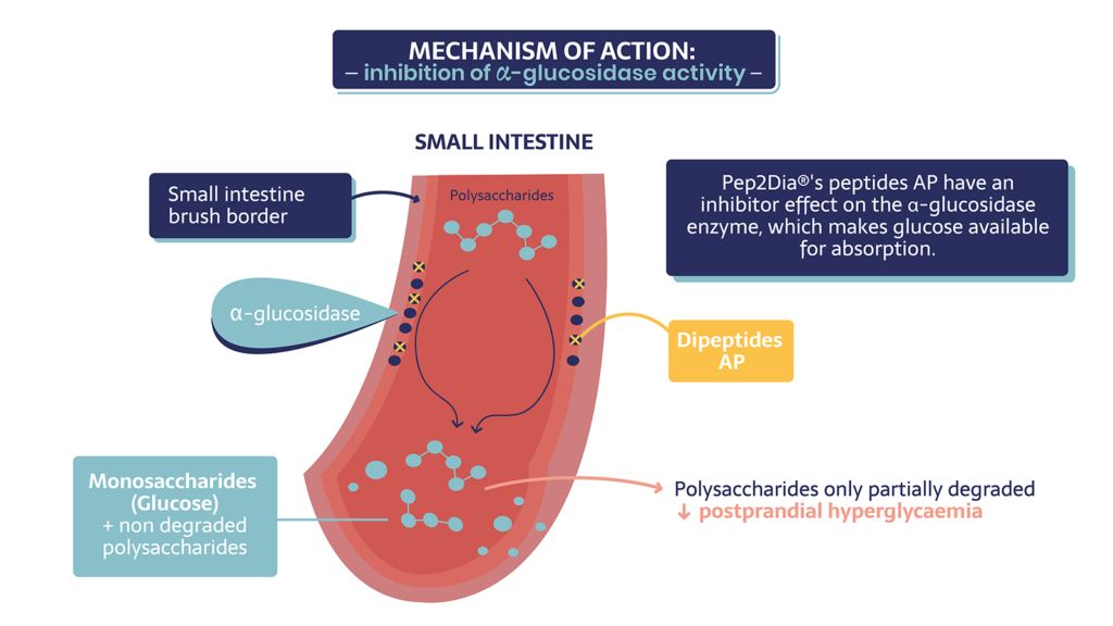 Mechanism of action : inhibition of a-glucosidase