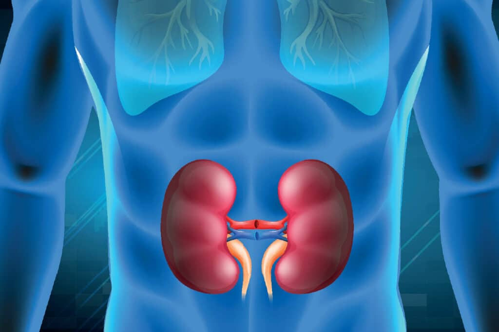 Diabetische Nephropathie und andere Nierenerkrankungen